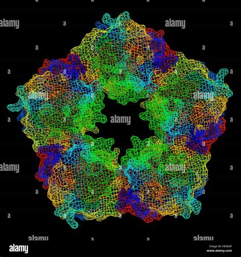 La Prote Na C Reactiva Modelo Molecular La Prote Na Se Compone De Cinco