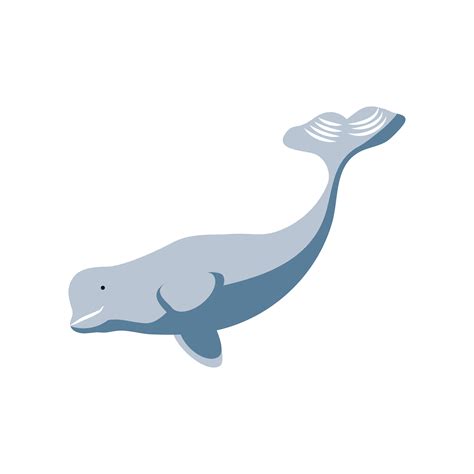 beluga whale icon 4628959 Vector Art at Vecteezy