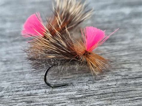 Rivulet Fly Fishing Tabanas Parachute Sedge Meander Fly Co