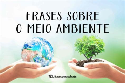 Frases Como Preservar O Meio Ambiente - Frases Sobre o Meio Ambiente: Para Preservar e Conscientizar - Frases ...