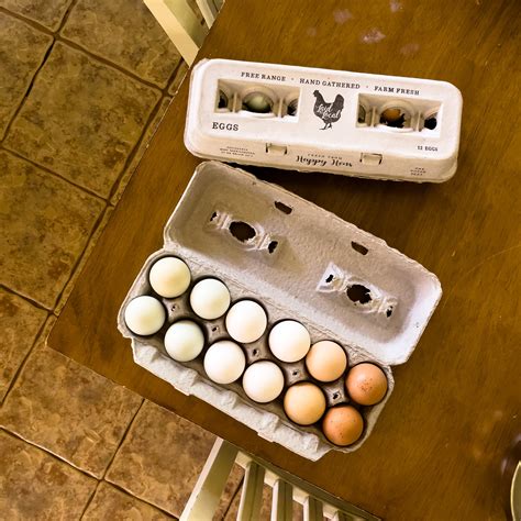 Free Range Eggs – Nourished Market