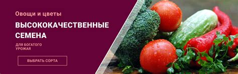Интернет-магазин «Процветок» в Беларуси