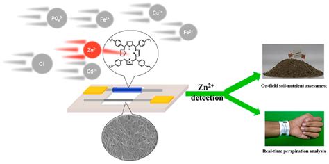 Chemosensors Free Full Text Recent Advances In Chemical Sensors For