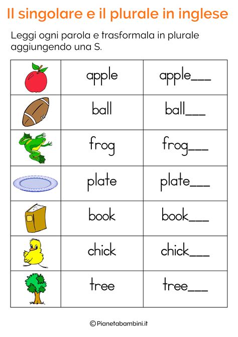 Esercizi Sul Singolare E Plurale In Inglese Per Bambini Da Stampare