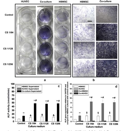 Figure From Silicate Bioceramics Enhanced Vascularization And