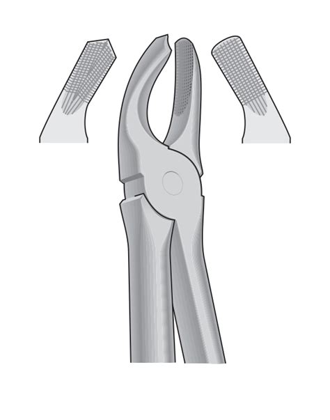 Dental Tooth Extracting Forceps Fig Upper Molars Fedior