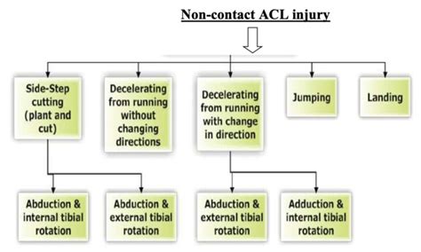 ACL Injury: Symptoms, Causes, And Treatments | Physio Focus Singapore