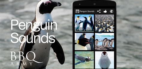 Penguin Soundsamazondeappstore For Android