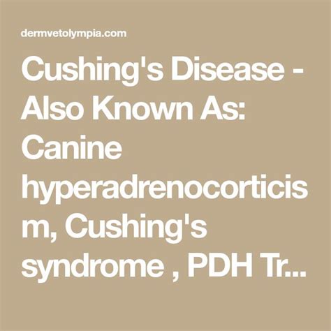 Cushings Disease Also Known As Canine Hyperadrenocorticism Cushing