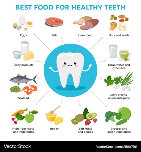 Best Food For Healthy Teeth And Cute Tooth Cartoon