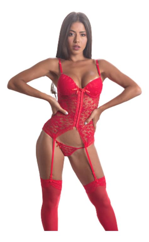 Corselet Feminino Lingerie Sexy Cinta Liga Meia Fina Parcelamento Sem Juros