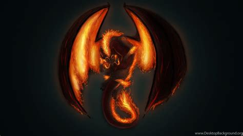 Orange Dragon Wallpapers Top Free Orange Dragon Backgrounds