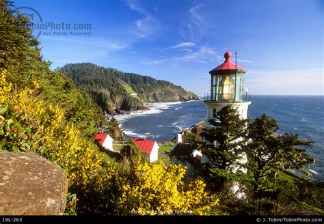 Heceta Head Lighthouse Picture