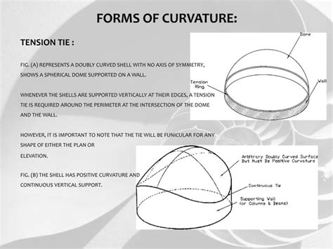 Shell structure | PPT