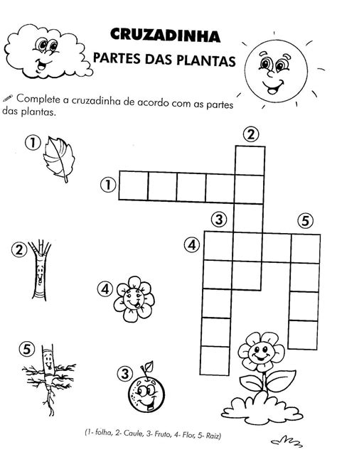 Atividade Partes Das Plantas 2 Ano Revoeduca