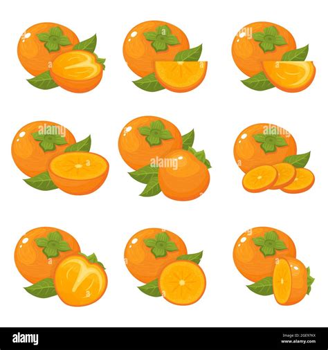 Set Of Fresh Whole Half Cut Slice Persimmon Fruits Isolated On White