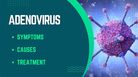 Adenovirus 202 By Help