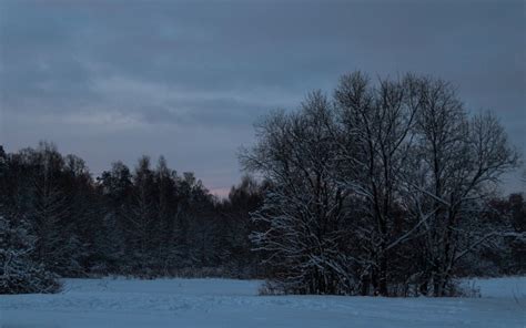 Olya On Twitter Winter Twilight