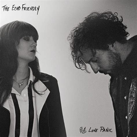 The Echo Friendly Fuck It And Whatever Lyrics Genius Lyrics