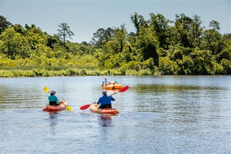 New Bern, North Carolina Camping Recreation | New Bern KOA Holiday