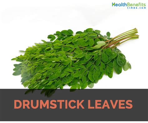 Drumstick Leaves Facts Health Benefits Nutritional Value