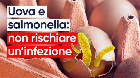 Uova E Salmonella 10 Regole Da Seguire Per Evitare Rischi YouTube