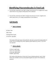 Identifying Macromolecules In Food Lab Docx Identifying