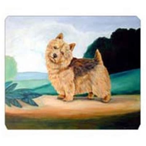 X In Norwich Terrier Mouse Pad Hot Pad Or Trivet Kroger