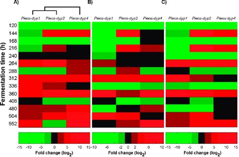 Heat Map Of Global Gene Expression Exploratory Analysis Of The Gene