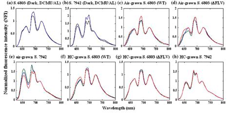 Fluorescence Emission Spectra At 77 K Notes Cyanobacteria Cells Were