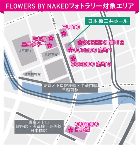 FLOWERS BY NAKED ー東京日本橋ーインスタフォトラリー開催中 NAKED FLOWERS 桜 世界遺産二条城