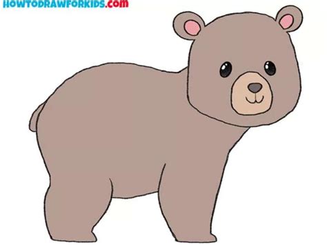 How To Draw A Bear Tutorials To Learn From