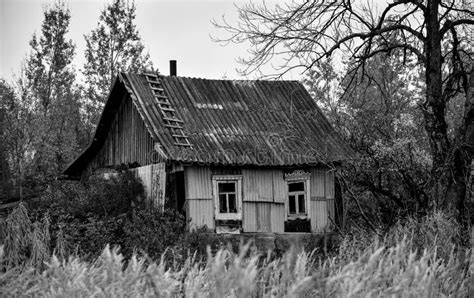 Grayscale Shot Of An Old Abandoned Wooden Cabin In The Woods Stock