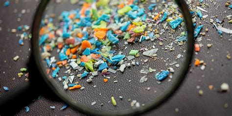 Salute Sessuale Scoperte Microplastiche Nel Pene Umano Lo Studio