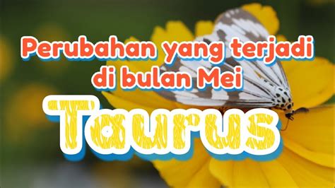 Taurus Akan Datang Sesuatu Yang Baru Untukmu YouTube