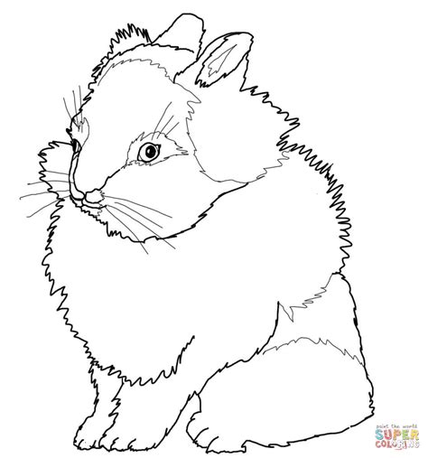 Realistic Rabbit Coloring Pages at GetColorings.com | Free printable ...