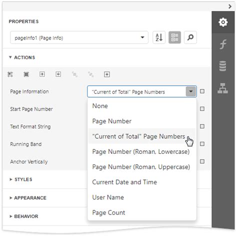 Page Info Devexpress End User Documentation