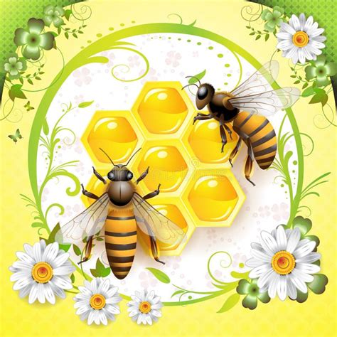 Girasoles Y Abejas En Fondo De La Miel Ilustraci N Del Vector