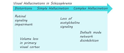 Visual Hallucinations in Schizophrenia — BrainPost | Easy-to-read ...