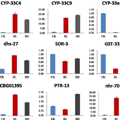 Verification Of Selected Degs Identified By Rna Seq Using Qrt Pcr Bl