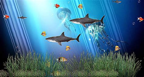 Aquarium Wallpapers For Windows Wallpapersafari