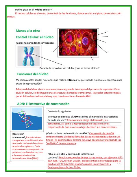 Cuadernillo Actividades Trimestre II Ciencias I PDF