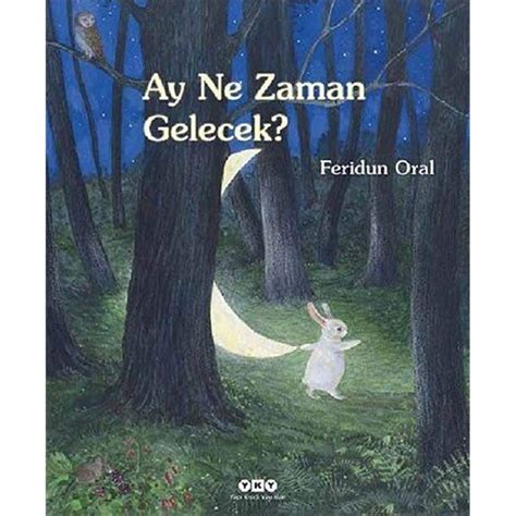 Amazon Ay Ne Zaman Gelecek Feridun Oral Books