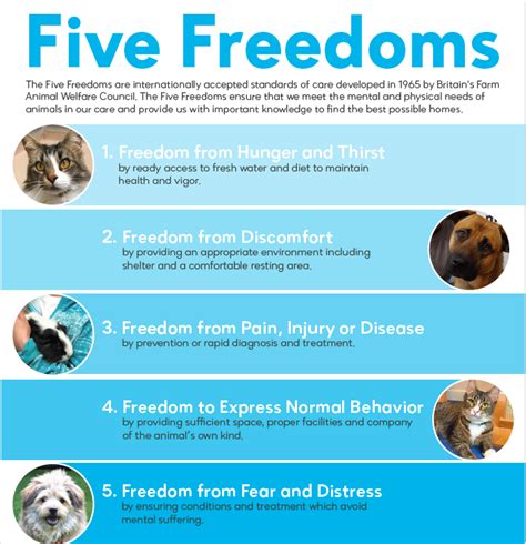 Humane at Home: The Five Freedoms - Marin Humane