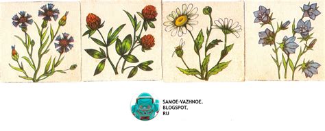 САМОЕ ВАЖНОЕ: БОТАНИЧЕСКОЕ ЛОТО "ЗЕЛЁНЫЙ ДРУГ"