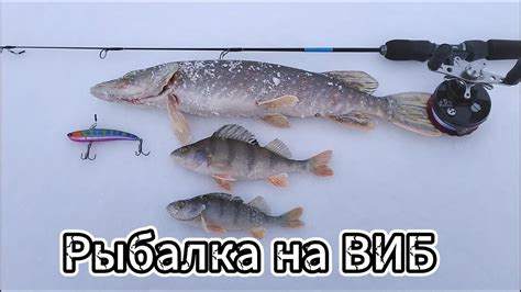 РЫБАЛКА НА ВИБ В ГЛУХОЗИМЬЕ. - YouTube