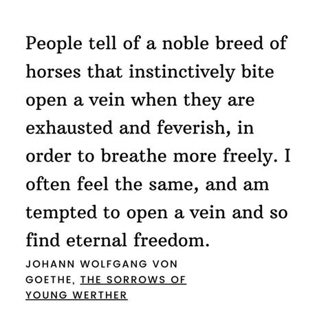 Johann Wolfgang Von Goethe The Sorrows Of Young Werther Sorrow Quotes Words