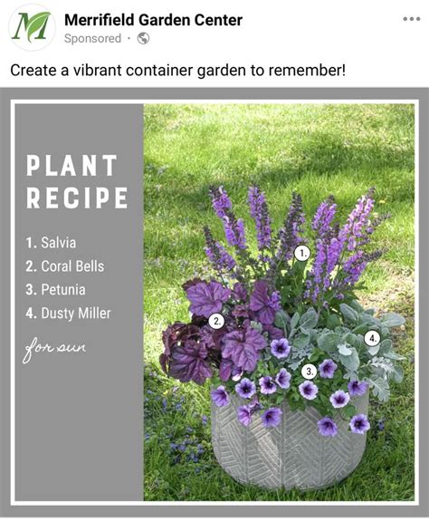 Pin By Katie Hall On Gardening Potted Plants Outdoor Patio Flowers Garden Containers