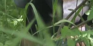 Asian Girl Gets Boob Sharking While Pissing In The Woods Tnaflix