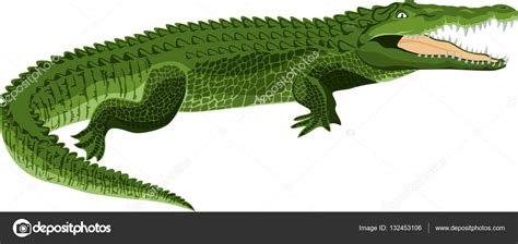 Vector Wildlife Crocodile Stock Vector By Savejungle